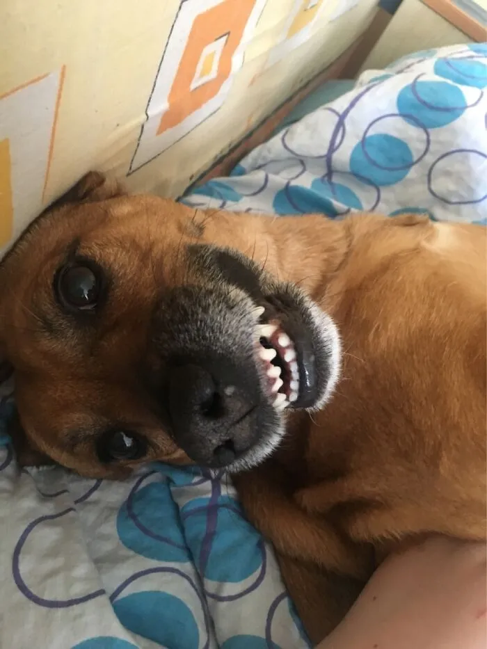 Smile!