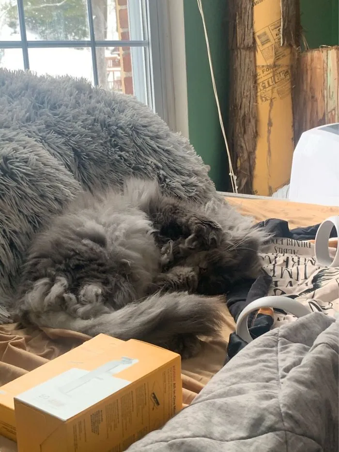 Floof