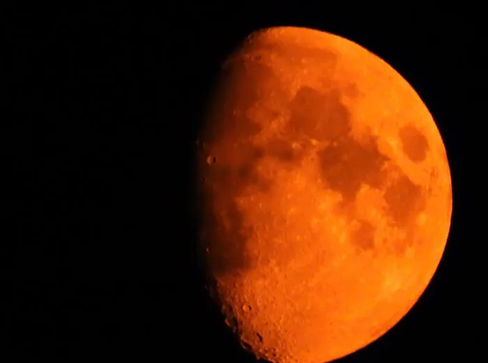 Forrest Fire Moon