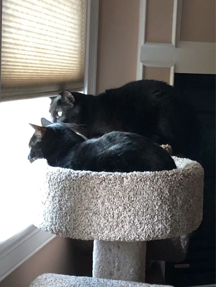 Blackie And Danny.