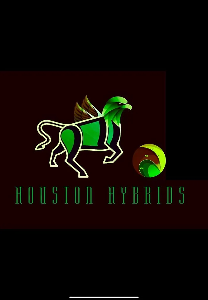 Just Made Up A New Sports Franchise! Thoughts?