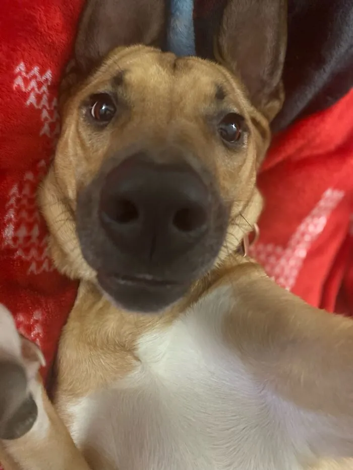 Feeling Cute, Might Post It. Idk