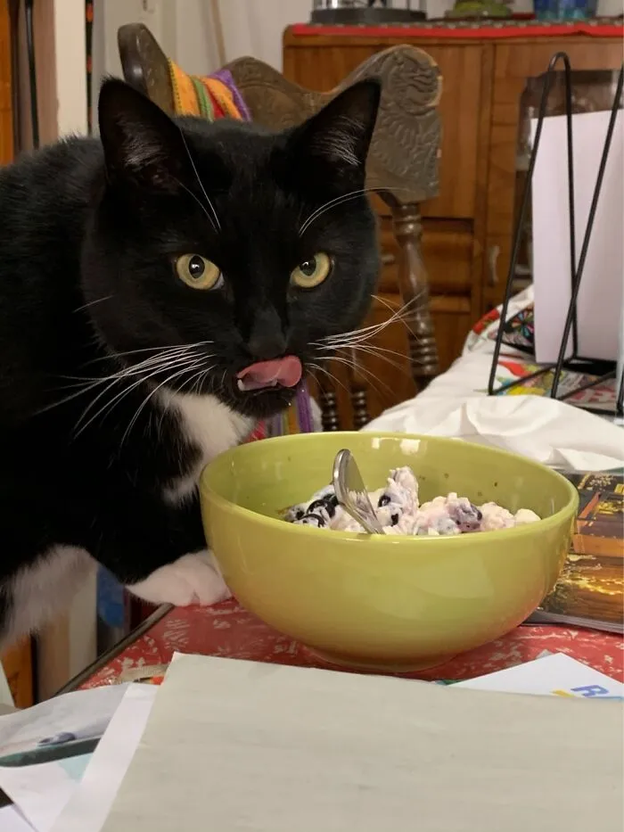 Ivy Parker, Resident Taste Tester.