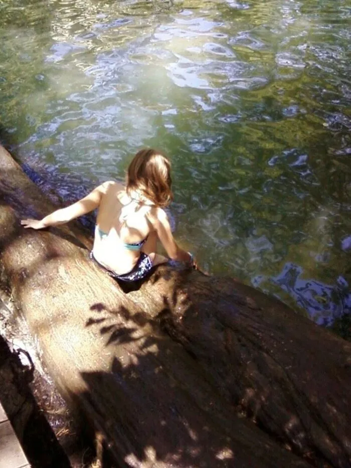 Allison