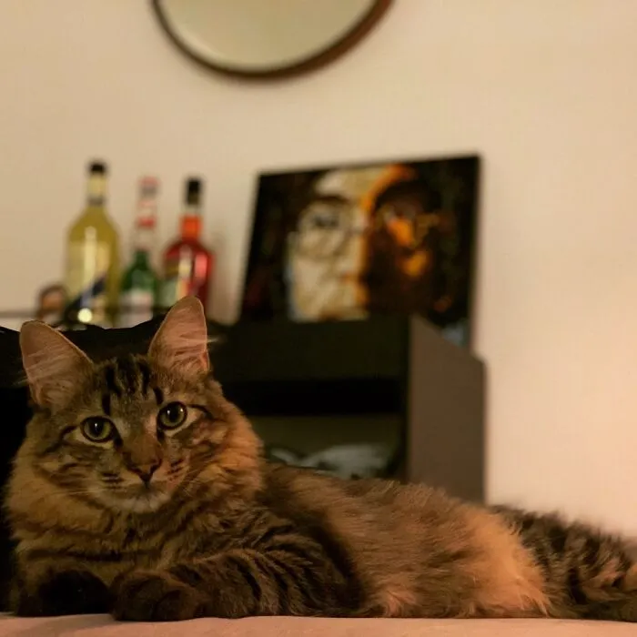 Just Chilling