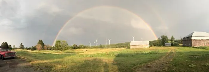 My Back Yard