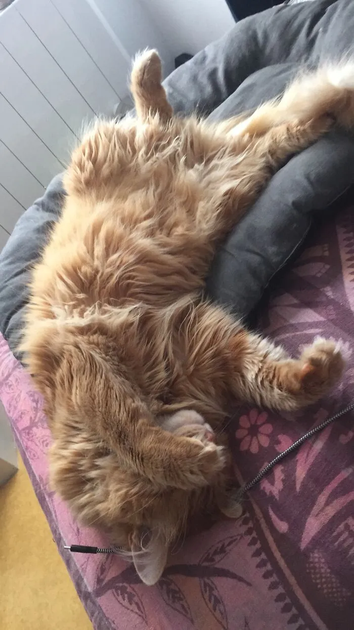 Exhausted...