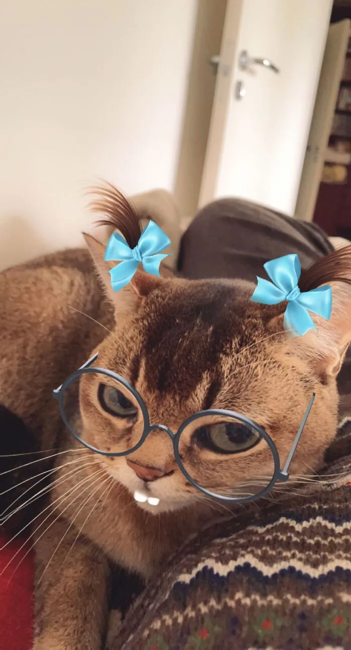 Not Amused…