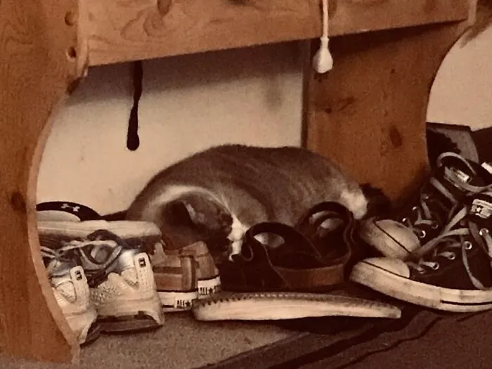 Dreaming/Smelling The Places We’ve Been…