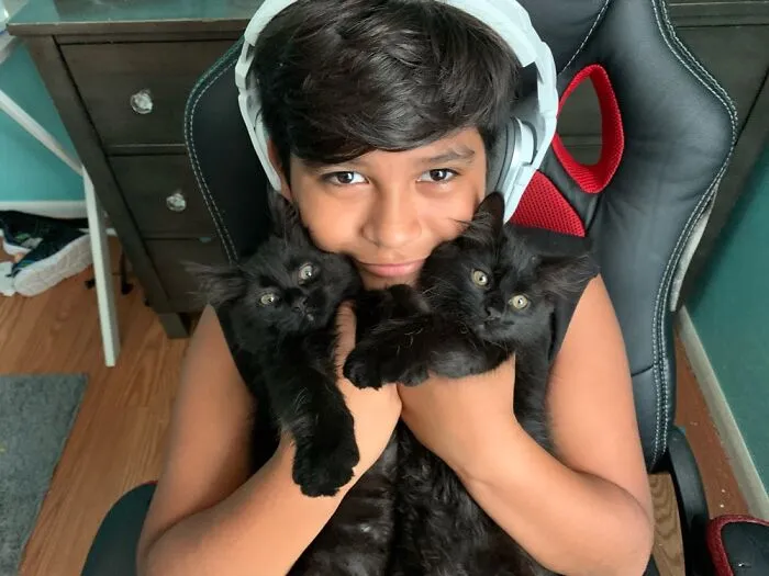 Meet Basil & Sage