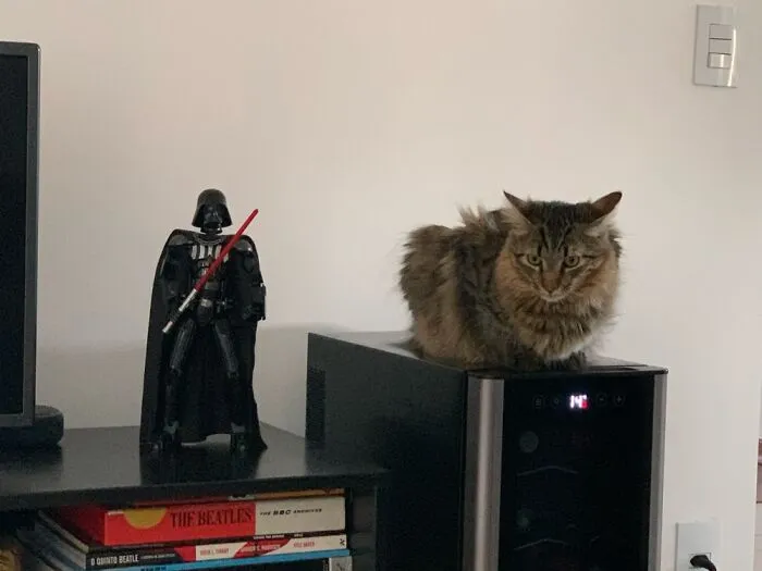 Chatting With Vader