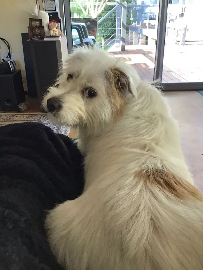 “Sniffy” - Looking Quite Demure