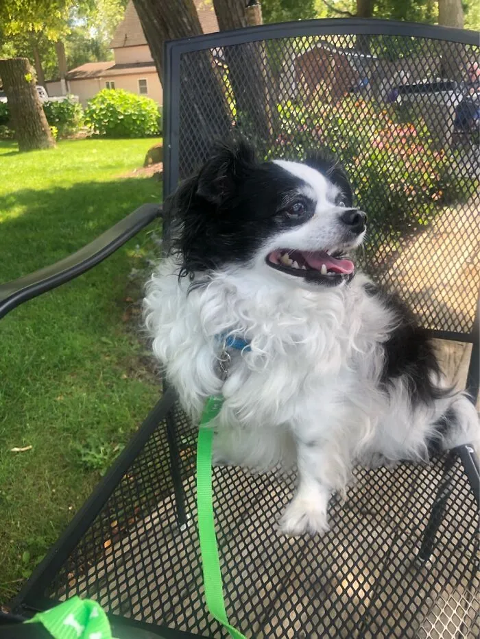 Benny Celebrating My Birthday.