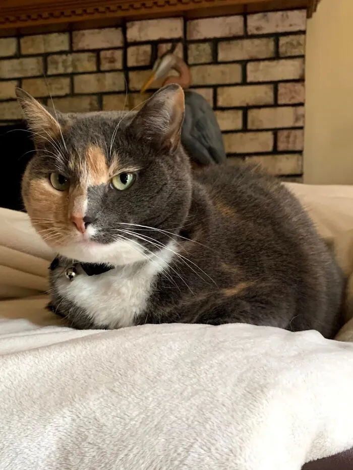 Our Athena