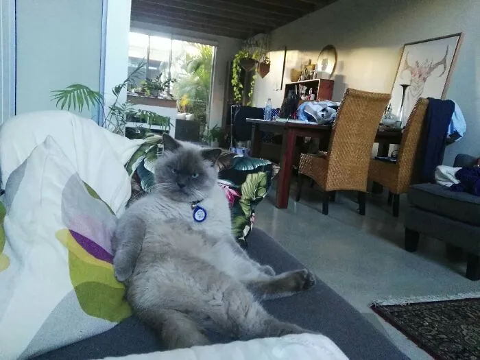 “You Know That’s My Bad Angle!”