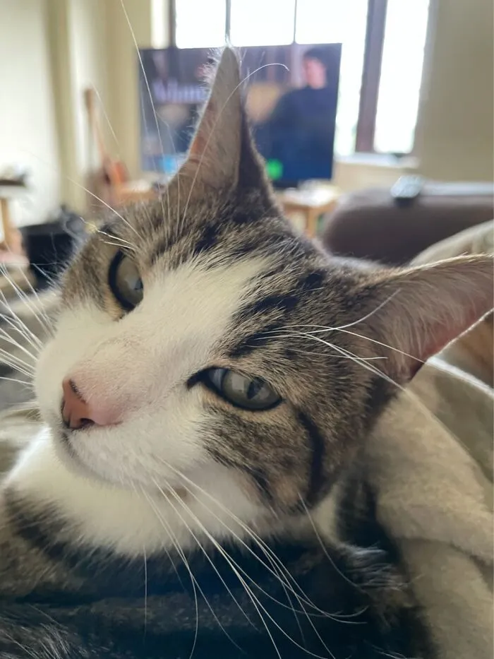 I Said No More Photos!
