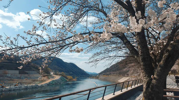 Korea Is So Beautiful