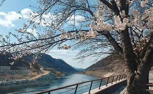 South Korea Is A Whole Different World, And These 50 Photos Are Here To Prove It