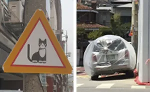 South Korea Is A Whole Different World, And These 50 Photos Are Here To Prove It