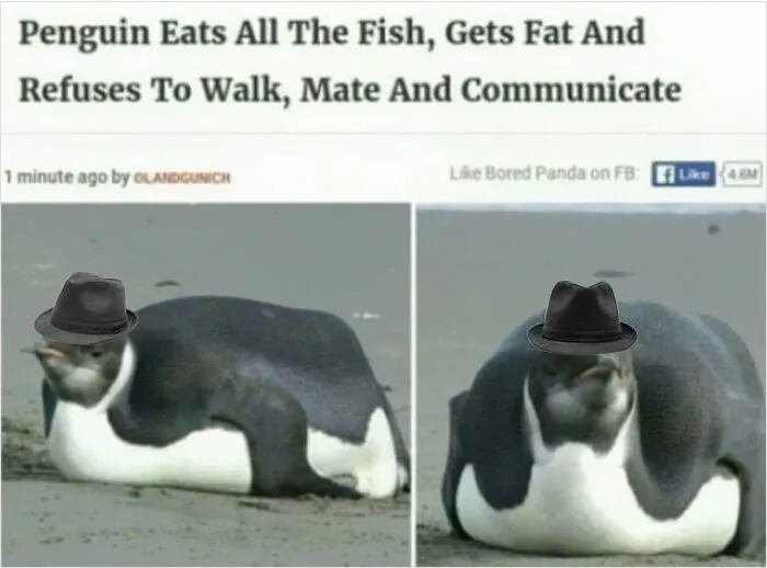 I Think This Belongs Here..