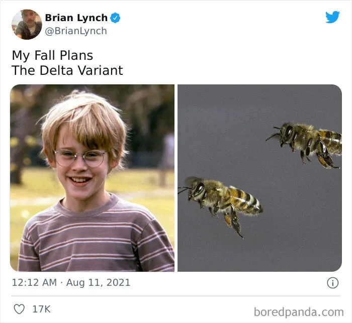 The "My Fall Plans Vs. The Delta Variant" Is The Saddest, Most Relevant Meme On The Internet Right Now