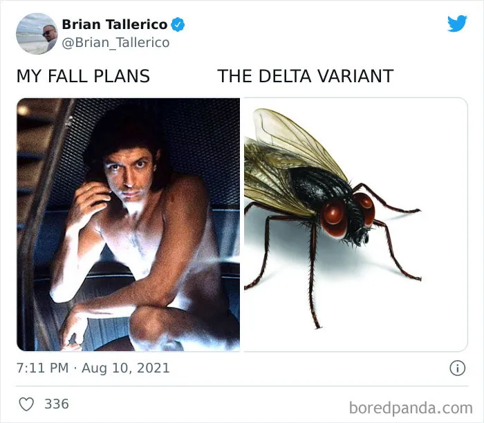 The "My Fall Plans Vs. The Delta Variant" Is The Saddest, Most Relevant Meme On The Internet Right Now