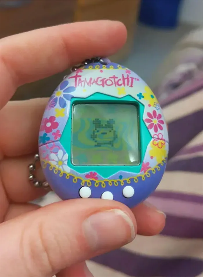 I Know No One Cares But I Got A Mimitchi On My Second Try. I Am 33 Years Old And Regret Nothing