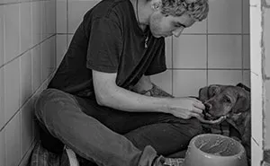 My Photo Series “Demystification Of Voluntary Work” Shows What Really Happens At An Animal Shelter