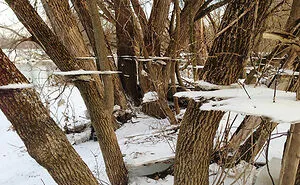 50 Times Real-Life Looked Like It Didn't Render Properly