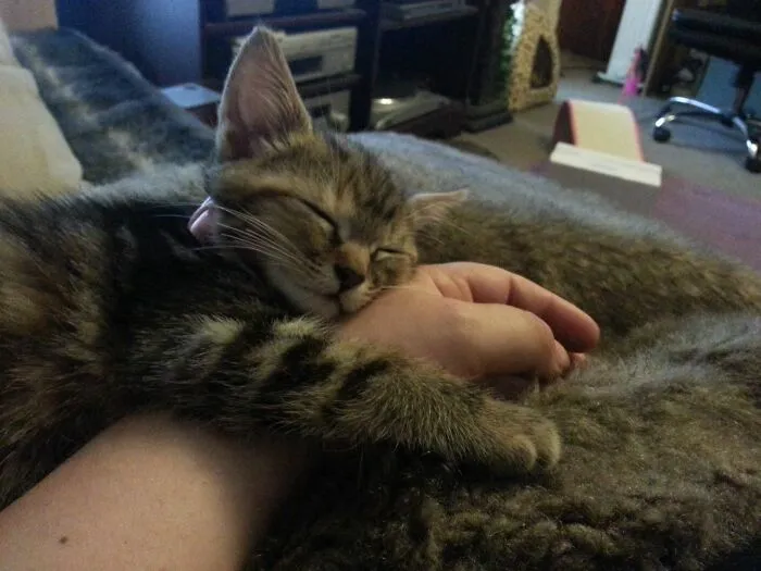 Pixel The First Day I Got Her.  The Beginning Of A Beautiful Friendship.