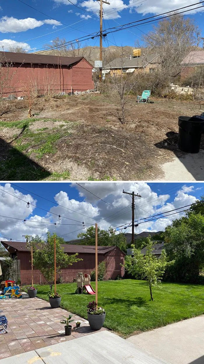 Mi proyecto Covid. Patio trasero renovado