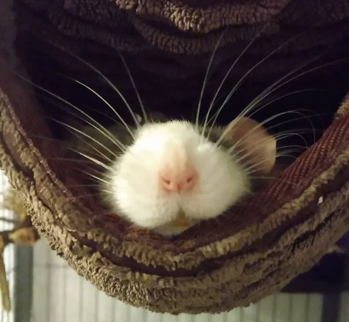 He Was Out Like A Light