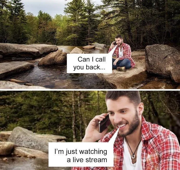 Live Stream