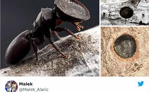 This Page Is Posting ‘Bad Science Jokes’ And Here Are 40 Of The Worst Ones