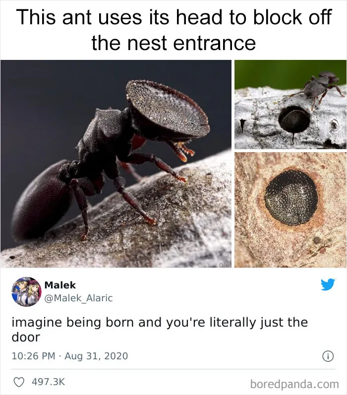 Funny-Science-Jokes-Memes