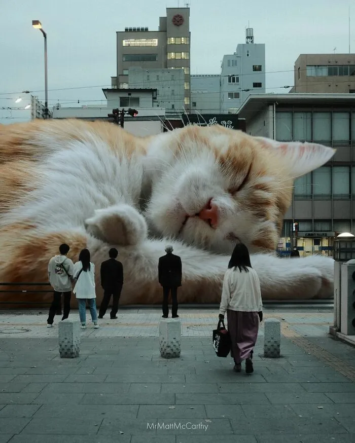 91 Surreal Photo Edits With Giant Cats By Matt McCarthy (New Pics)