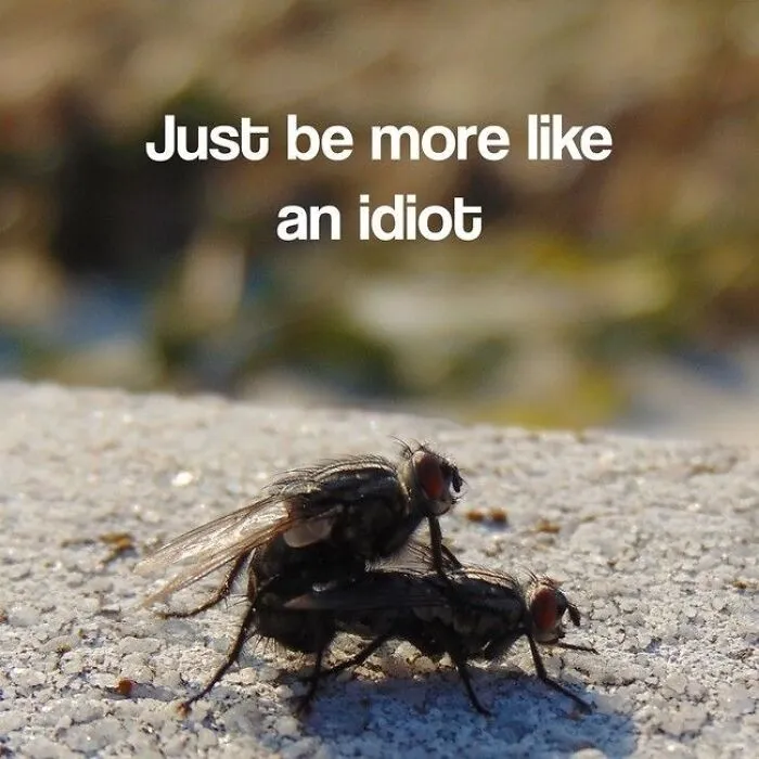 This A.I. Was Created To Generate Inspirational Images, But It Will Probably Make You Laugh Instead (35 New Pics)