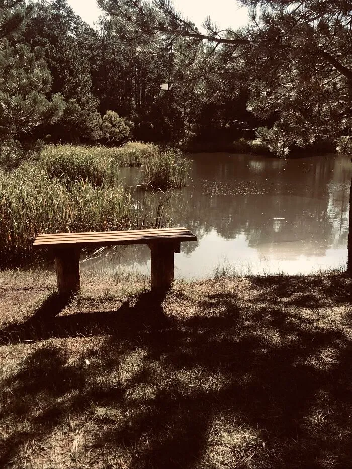 A Walk In The Park