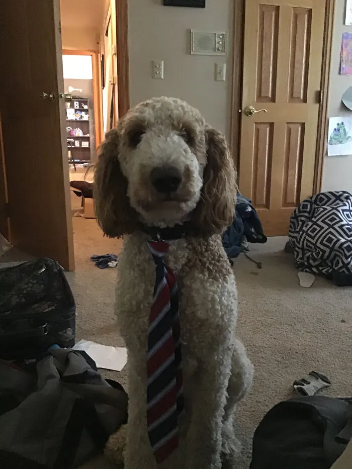 How Do I Look?