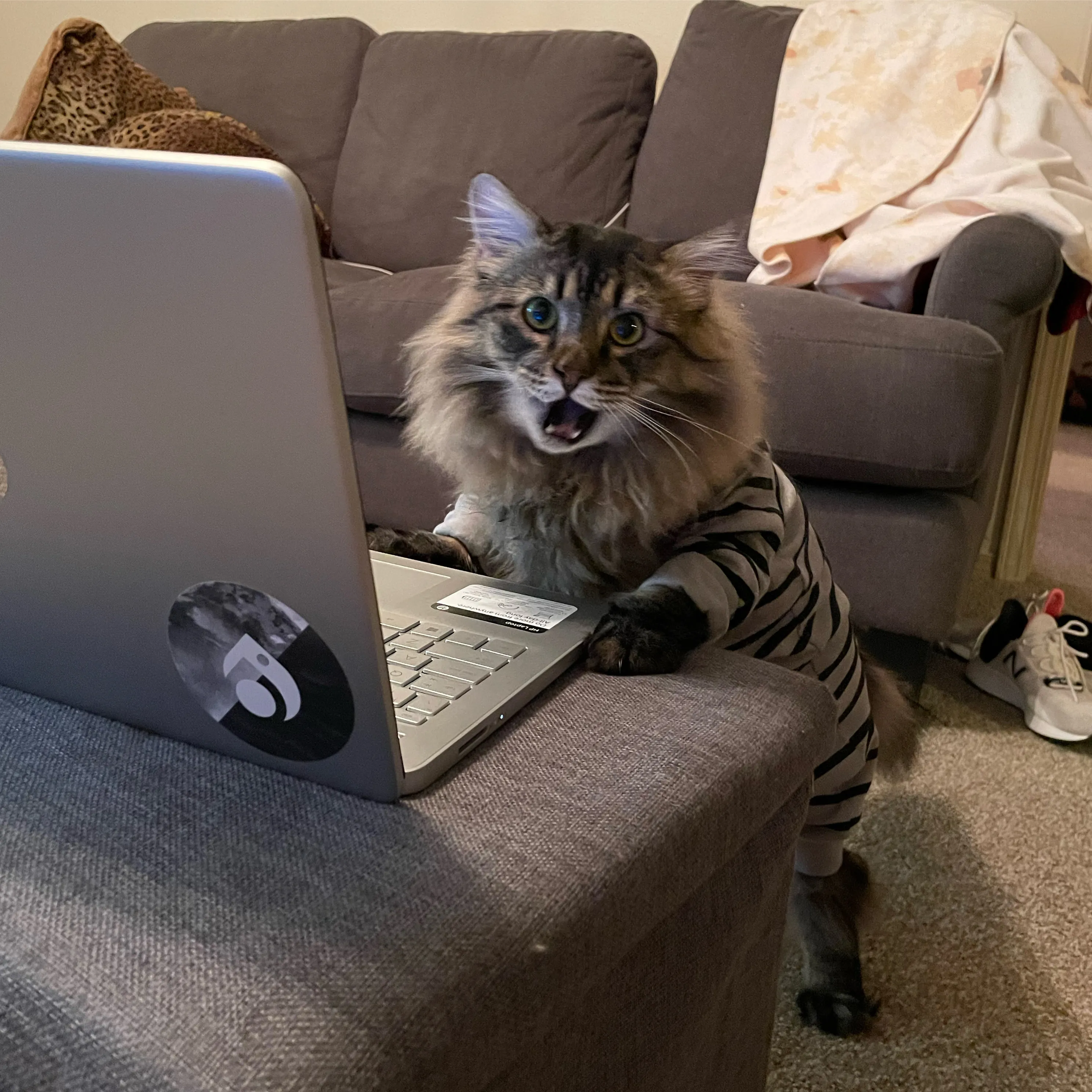 Working From Home Has Been Tough On Us All..