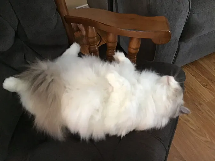 Upside Down