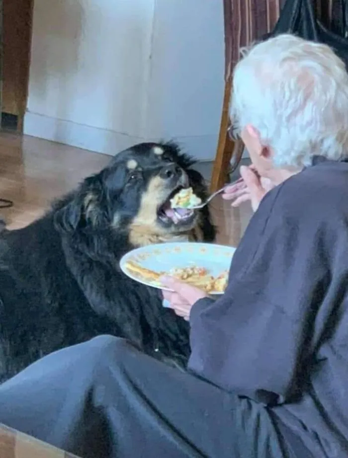 This Facebook Page Is All About Animal Images That Need To Be Seen (50 New Pics)