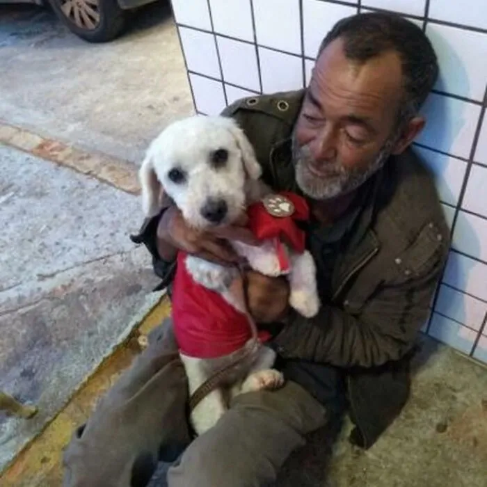 30 Photos That Document The Lives Of Homeless People And Their Dogs In Brazil Shared On This IG Page