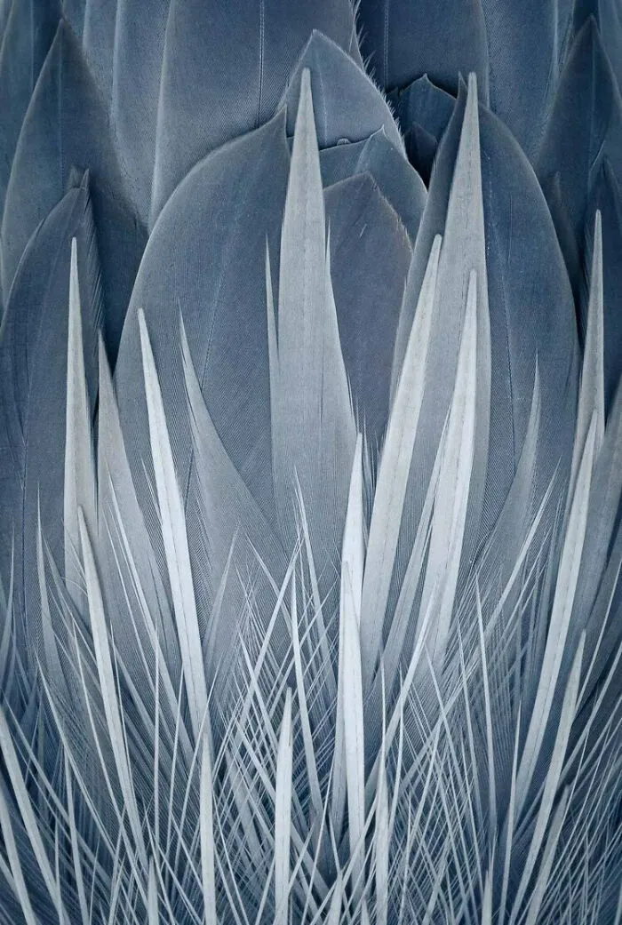 Attention To Detail: ‘Blue Flames’ By Kerry Wu (Bronze)
