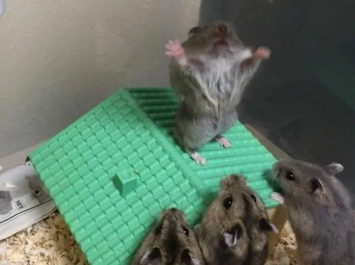 This Facebook Page Is All About Animal Images That Need To Be Seen (50 New Pics)