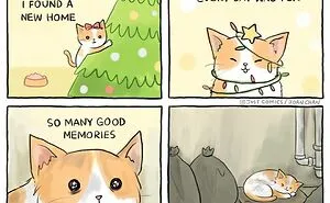 40 Heartbreaking Comics About Animal Abuse And Factory Farming By Joan Chan
