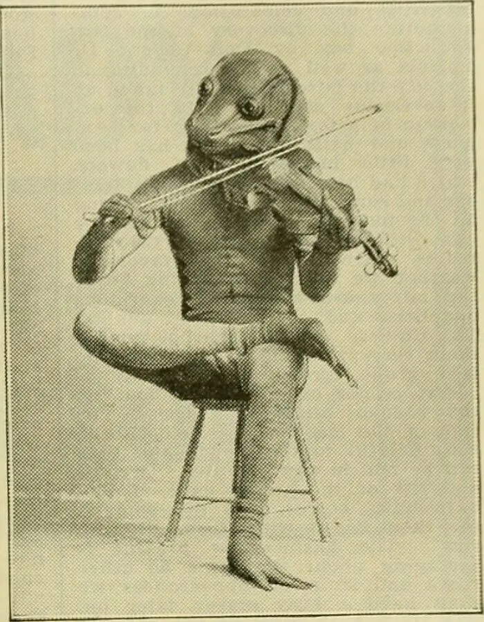 Found This Weird Photo Online. The Title Said That It's From "Page 896 Of The American Florist, A Weekly Journal For The Trade (1885)". Please Make Special Note Of His Feet