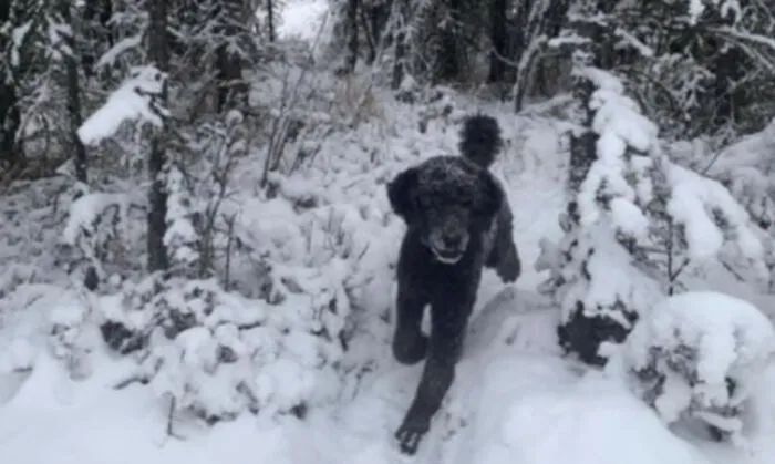 Persona corriendo por la nieve