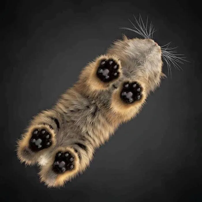 Imagen microscópica de una larva carnívora