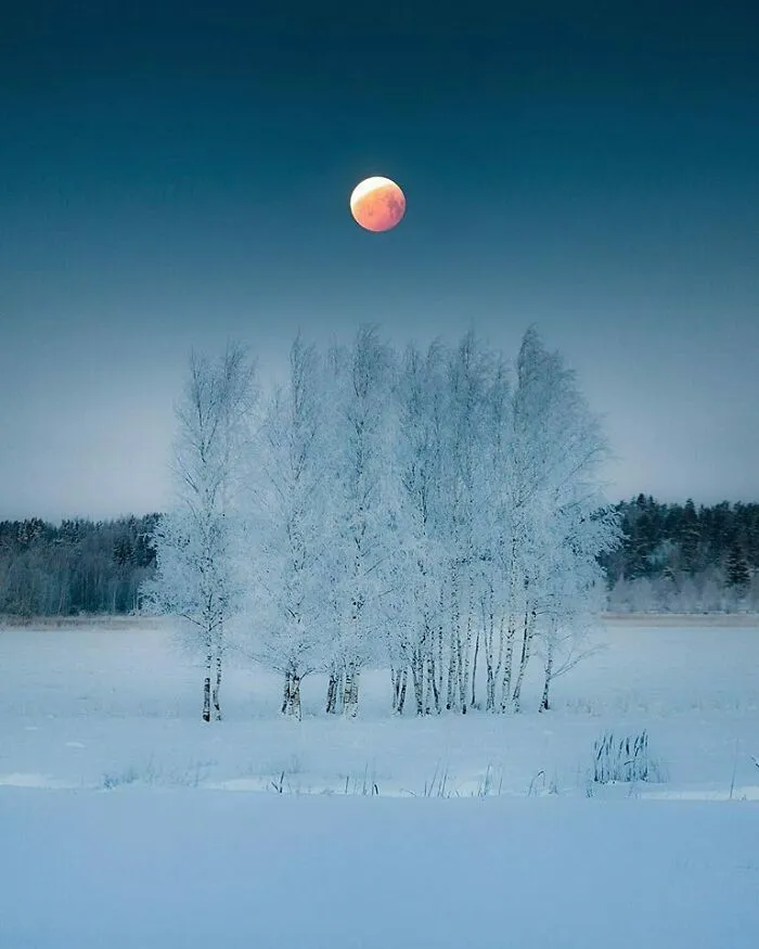 Blood Moon In This Morning. Finland